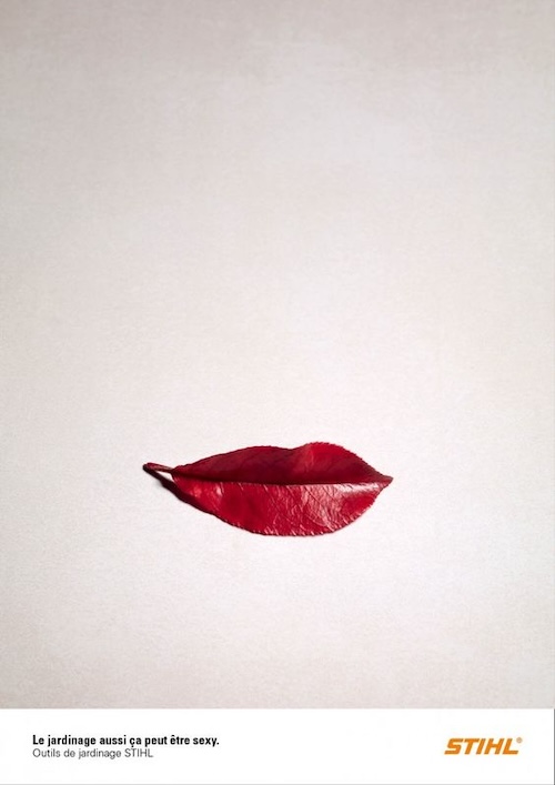 A red leaf against a light background