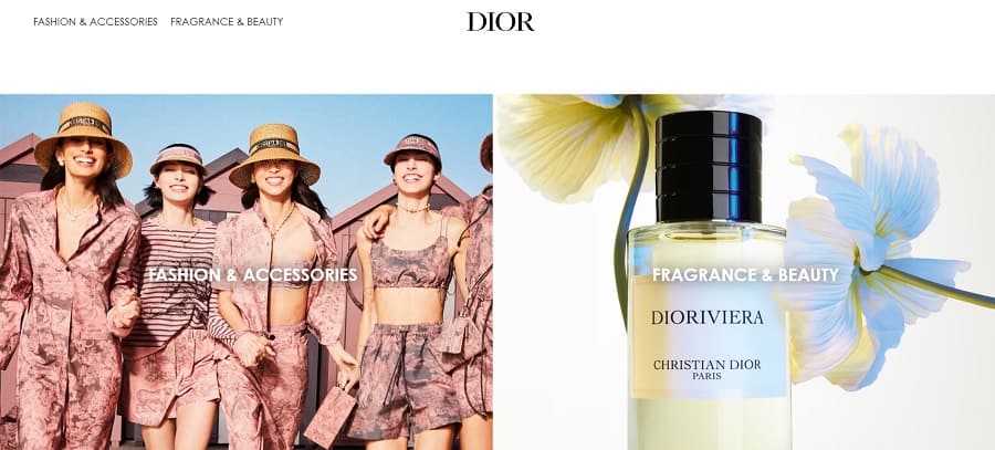 screenshot of dior website