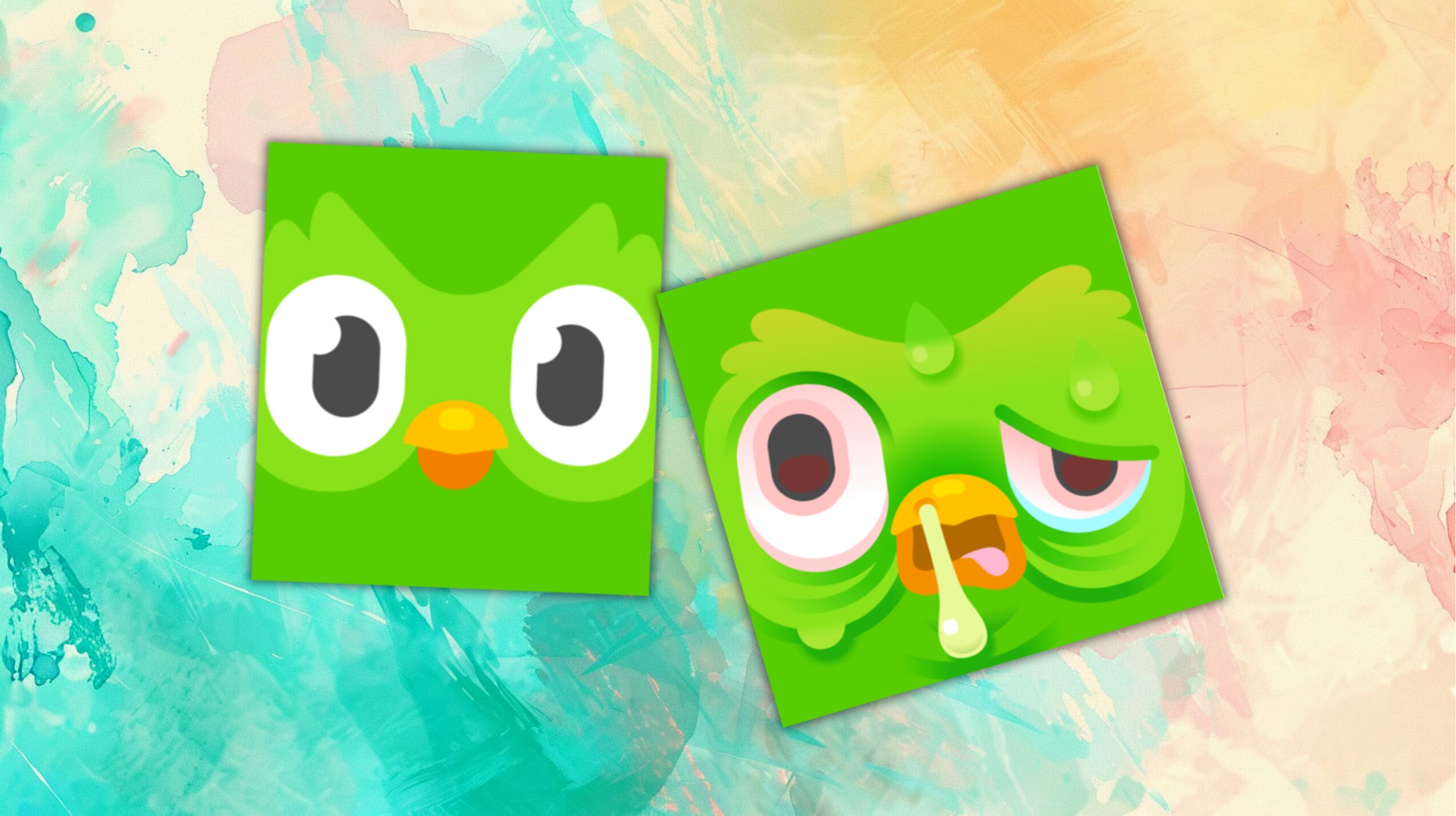 the original Duolingo app icon beside the sick-looking new version