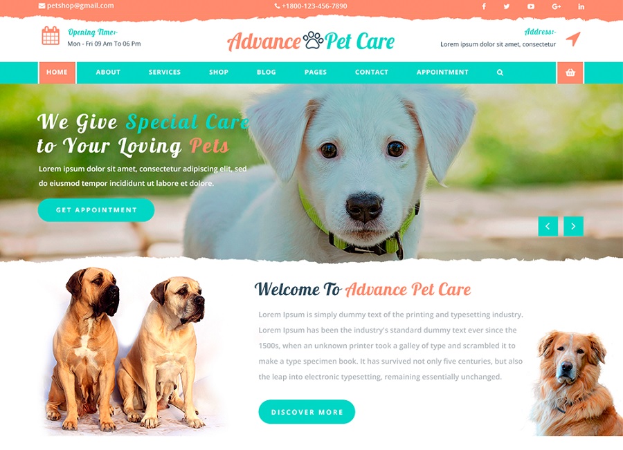 advance pet care screenshot dog training themes