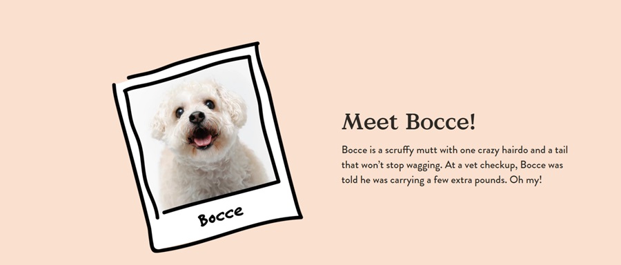 screenshot bocce's bakery about page meet bocce