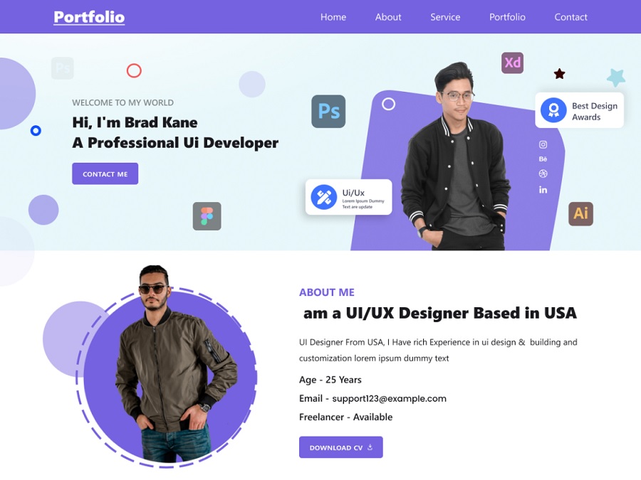 portfolio themes example