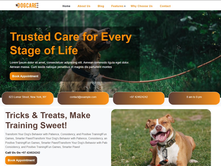 dogcare hub screenshot dog training themes