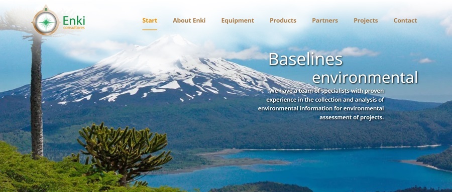 screenshot of enki consultores website