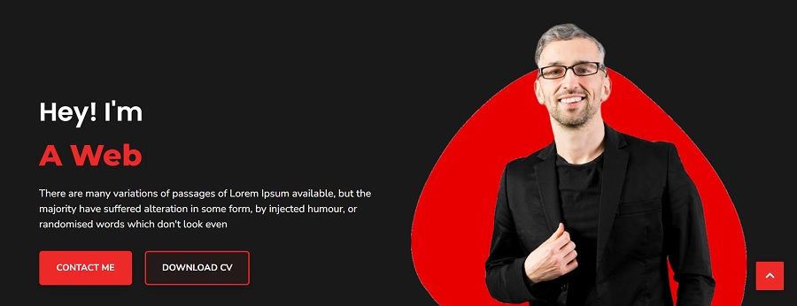 portfolio themes example