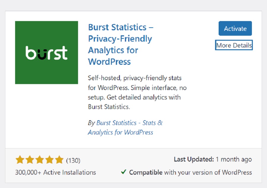 screenshot showing how to install and activate burst statistics plugin