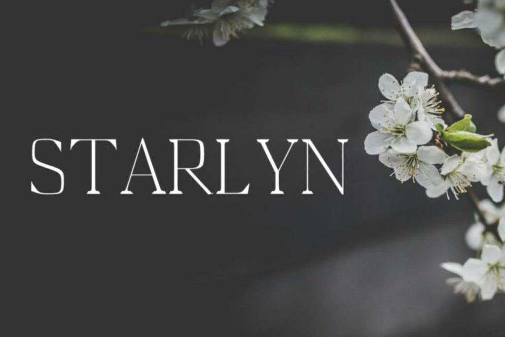 A modern and stylish font called Starlyn