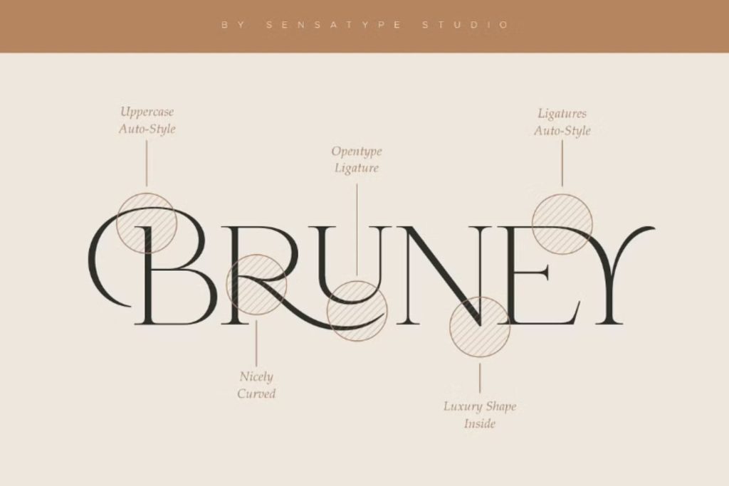 Unique Bruney script & handwritten font by Illustrative Studios.
