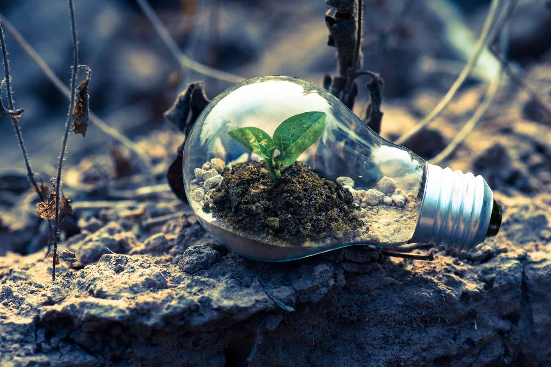 how to make your design business more eco-friendly