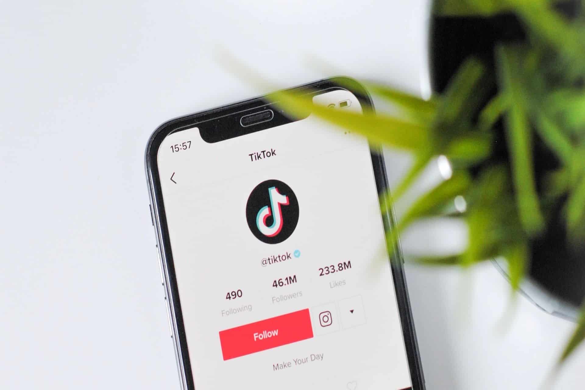 Small businesses ideas for TikTok