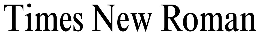 times new roman font