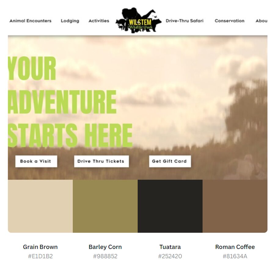 nature color schemes wilstem color palette