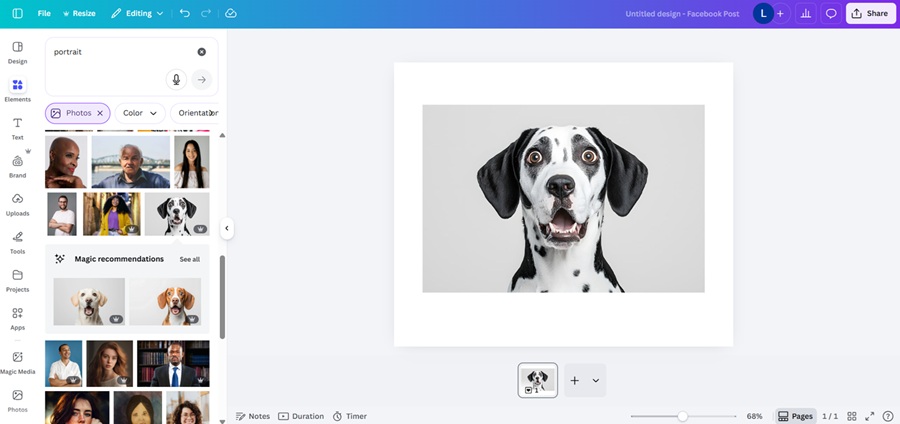 canva's magic grab screenshot