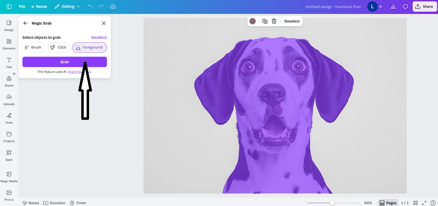 canva's magic grab screenshot