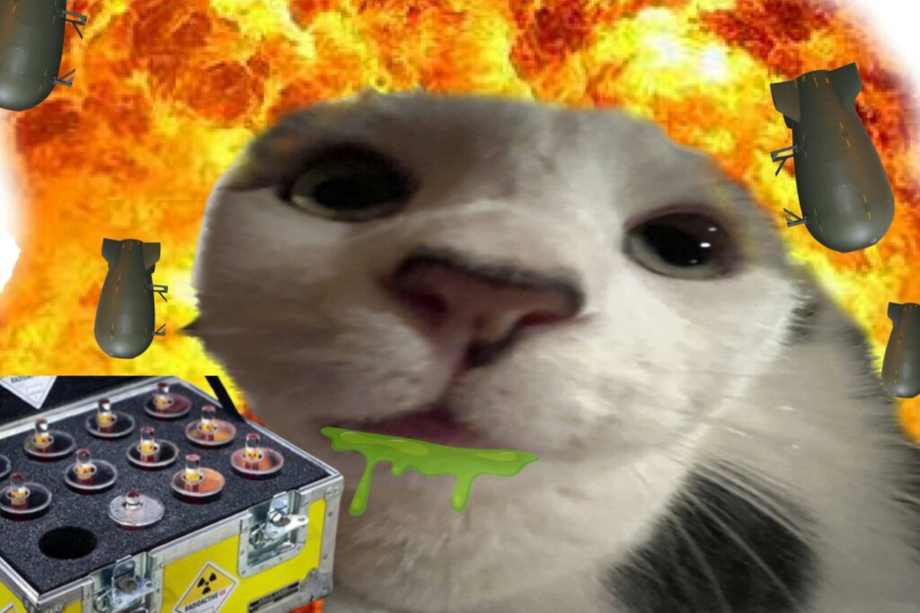 A meme-fied photo of a cat against an explosive orange background with random elements around it