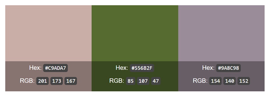 ancient stone color palette