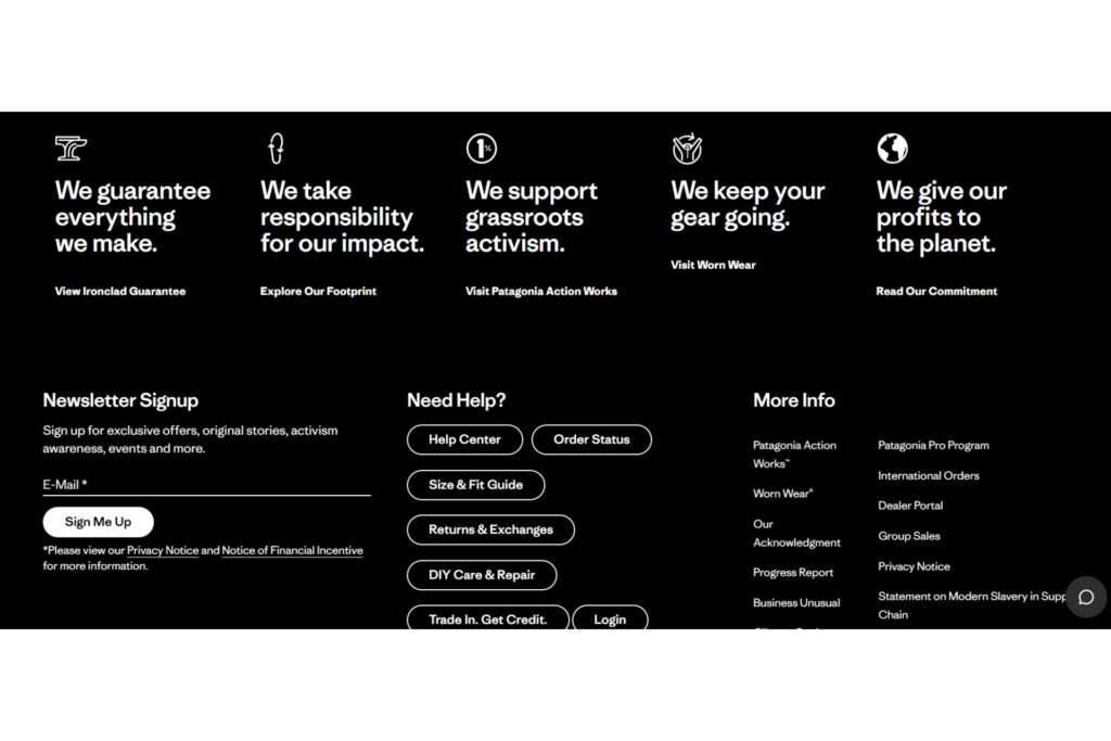 Patagonia's website footer featuring bold mission-driven statements, a newletter signup form and customer support links
