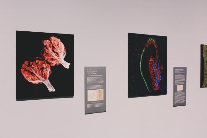 art hanging on wall