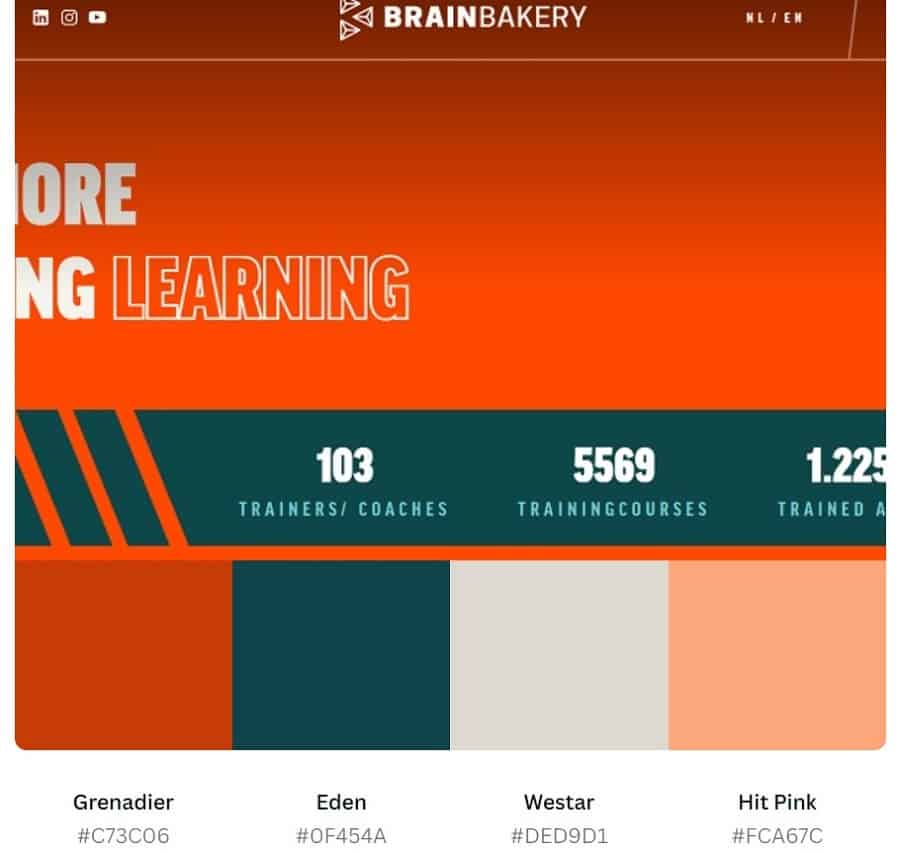 hex codes brain bakery
