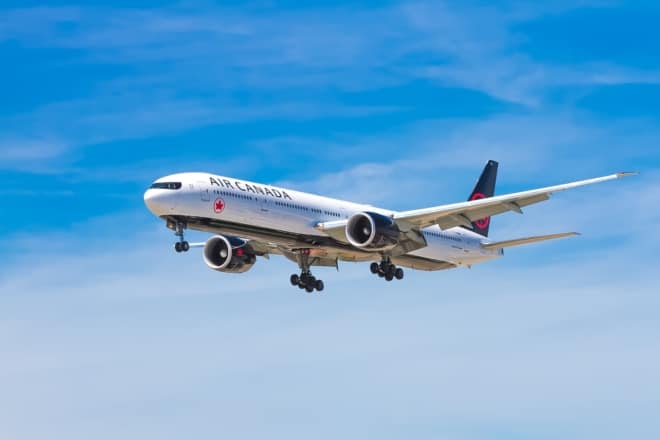 studying airline logos like air canada