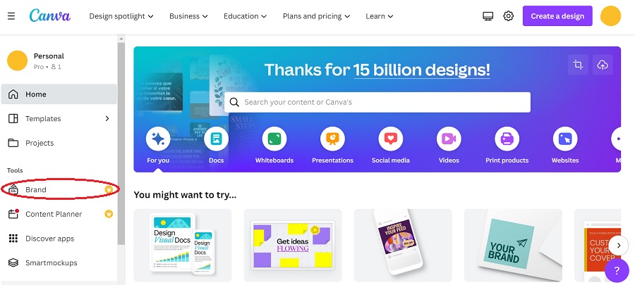 canva brand toolkit
