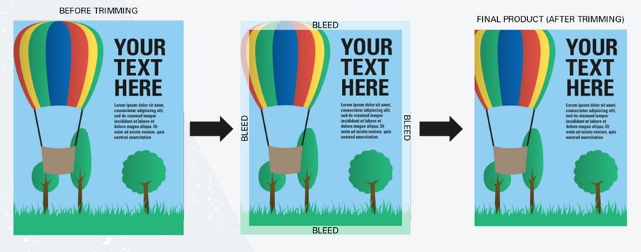 bleed infographic