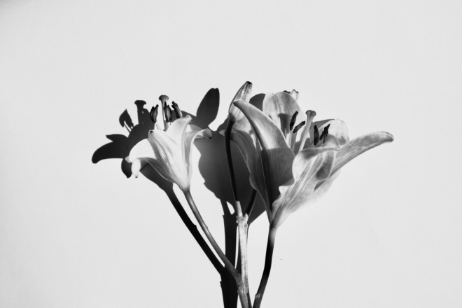 grayscale color palette