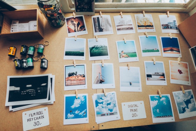 portfolio themes