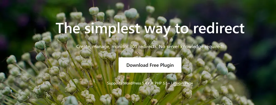 screenshot of redirection plugin