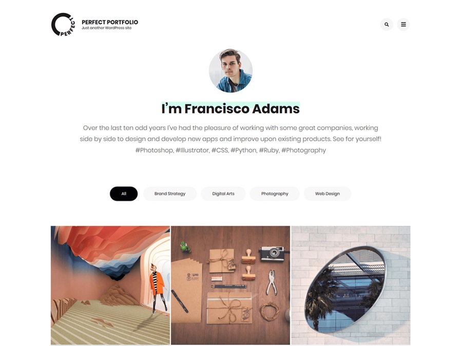 screenshot of perfect portfolio wordpress theme