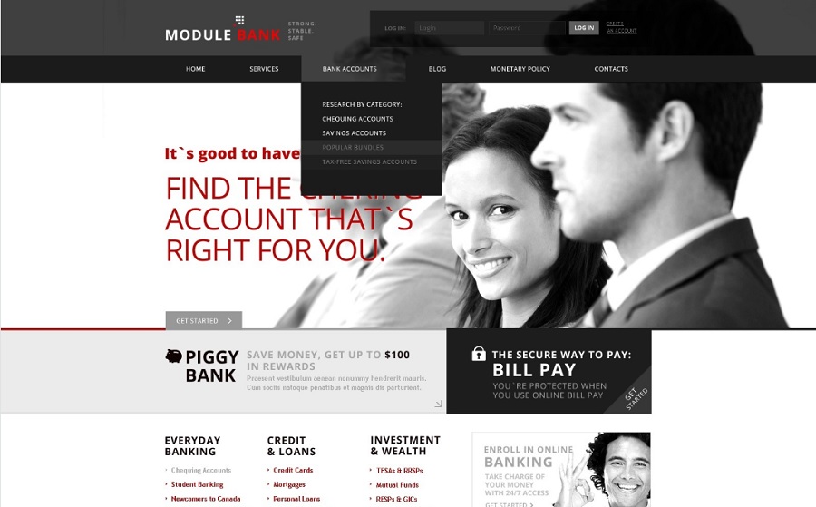 screenshot of module bank finance theme