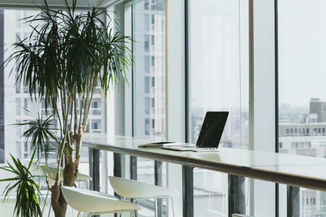 Office With Large Windows and a Plant