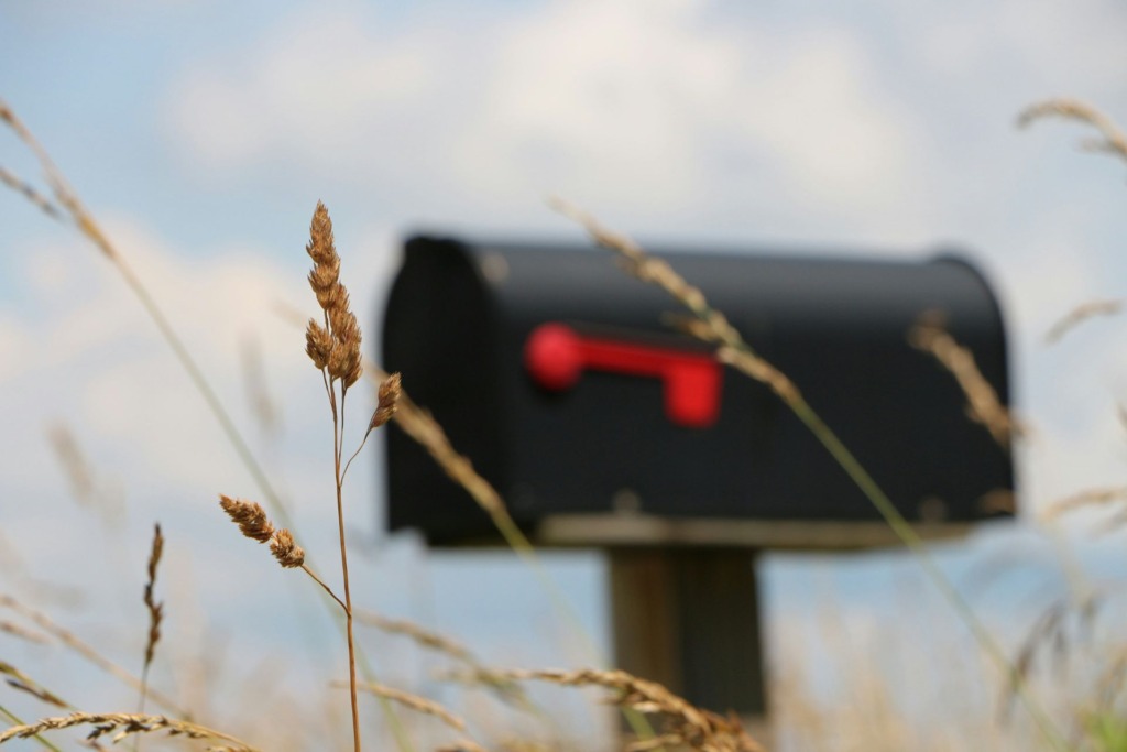 A black mailbox surrounded by tall grass waits for the next direct mail marketing mailer to hit