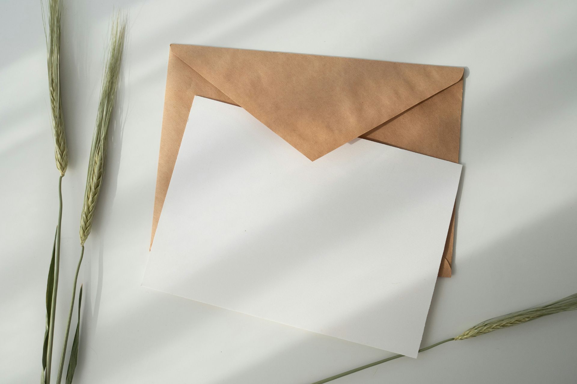 A blank postcard sitting on top of a brown envelope